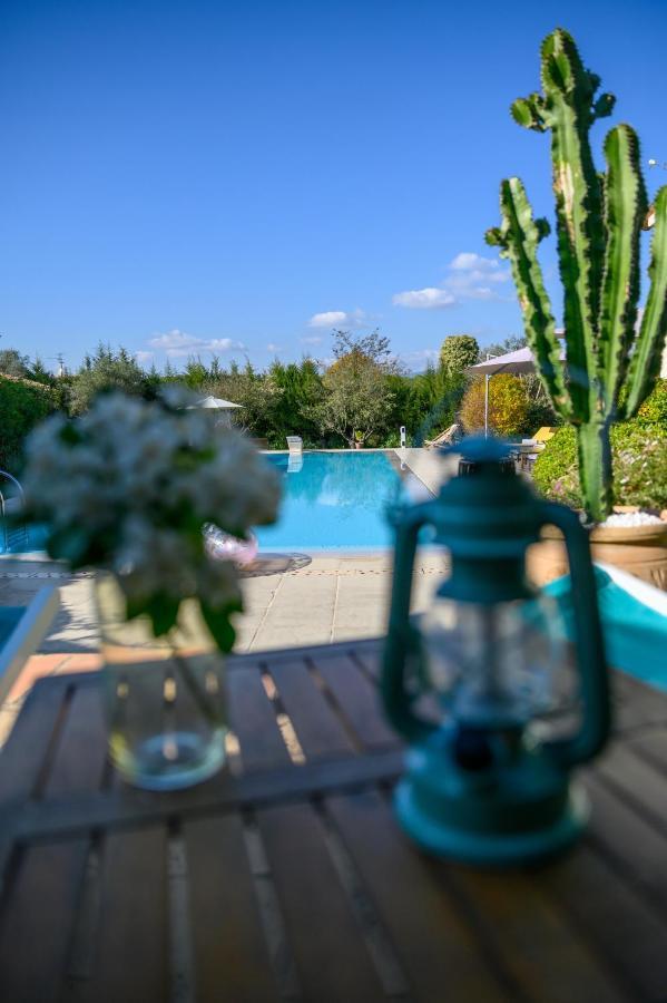 Le Mas De La Source Bed & Breakfast Mougins Bagian luar foto