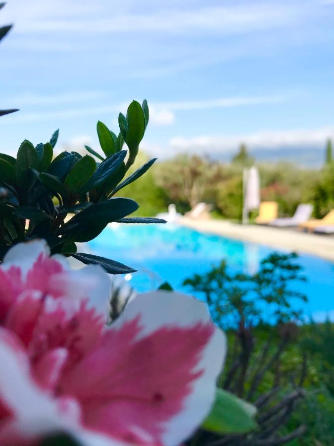 Le Mas De La Source Bed & Breakfast Mougins Bagian luar foto