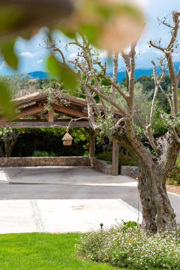 Le Mas De La Source Bed & Breakfast Mougins Bagian luar foto
