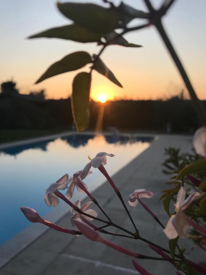 Le Mas De La Source Bed & Breakfast Mougins Bagian luar foto